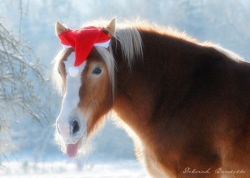 ftjpe626qo7y0tzxvi61wf13xf8